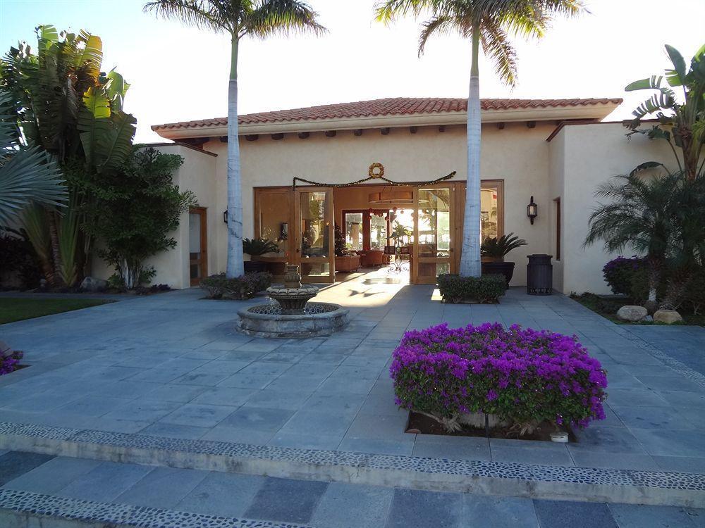 Cabo Marina Beach Condos Cabo San Lucas Exterior photo